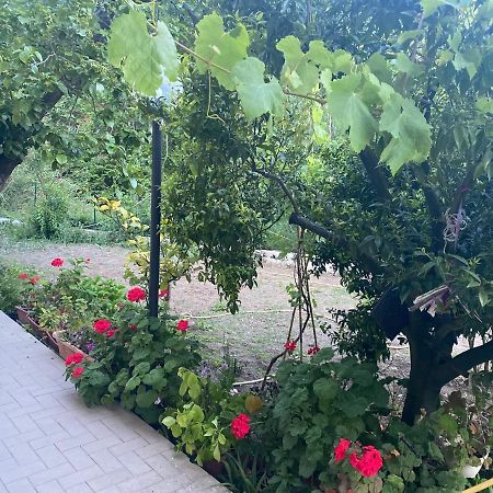 Proprieta Intero Allogio Con Parcheggio Villa Sestri Levante Exterior foto